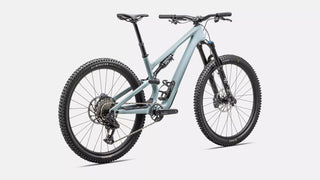 Specialized Stumpjumper 15 Comp — back view