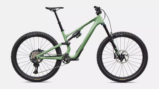 Specialized Stumpjumper 15 EVO Expert - 2026