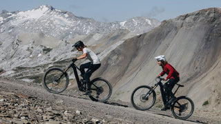 Specialized Turbo Levo 4 Pro - 2026