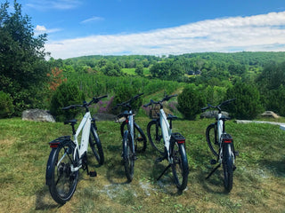 E-Bikes