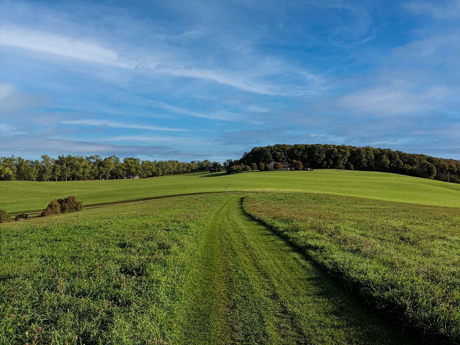 A mowed singletrack path curving through a wide green meadow on Darling Hill, with rolling hills and a clear blue sky over Vermont's Northeast Kingdom
