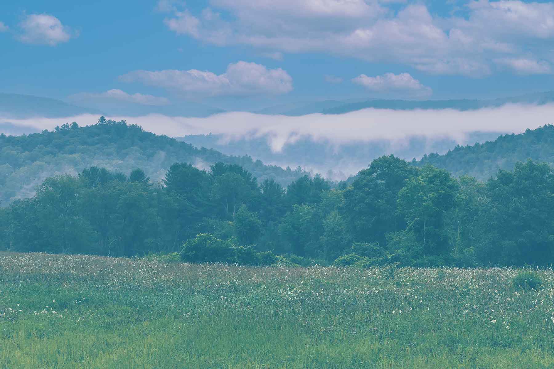 A wildflower meadow in the foreground of the Litchfield Hills, with low fog drifting across forested ridges and a blue sky above
